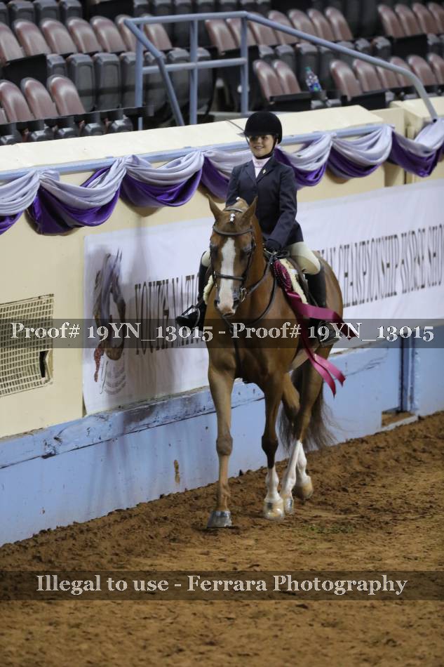 Proof 19YN_13015