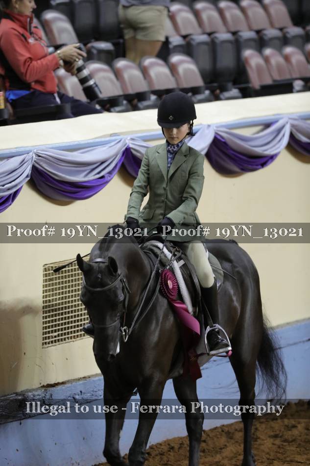 Proof 19YN_13021