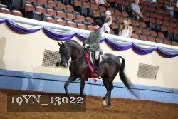 19YN_13022 proof