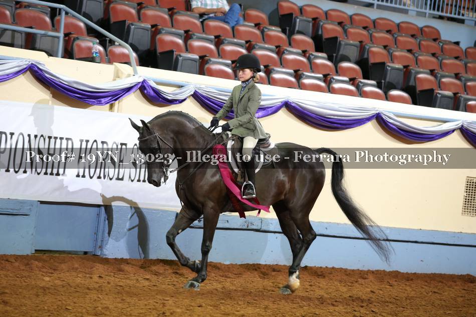 Proof 19YN_13023