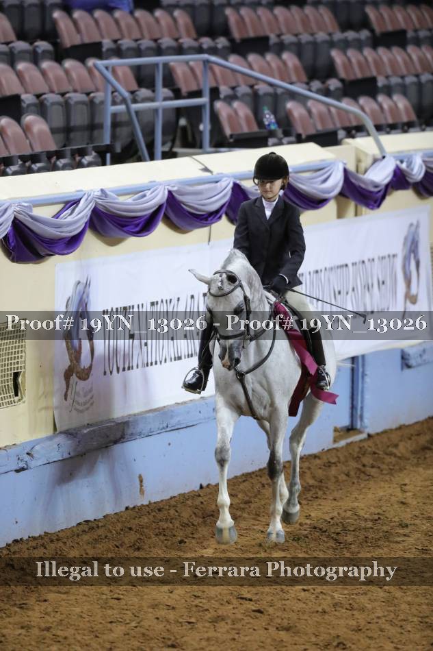 Proof 19YN_13026