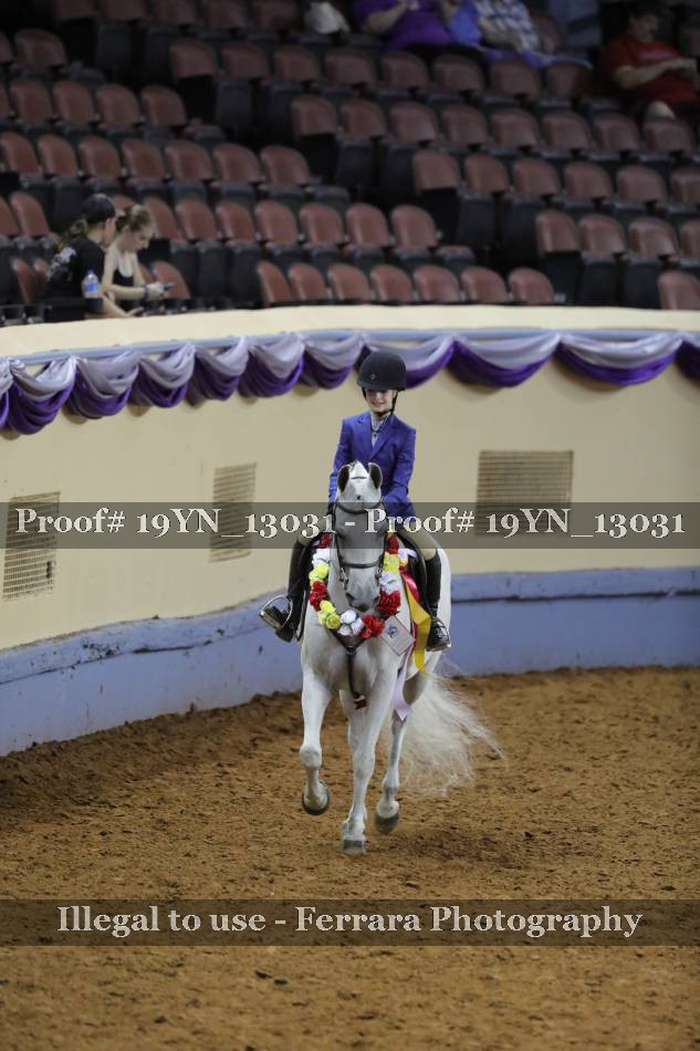 Proof 19YN_13031