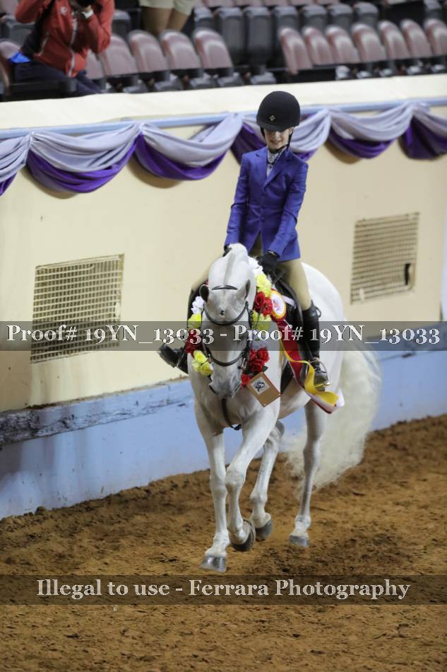 Proof 19YN_13033