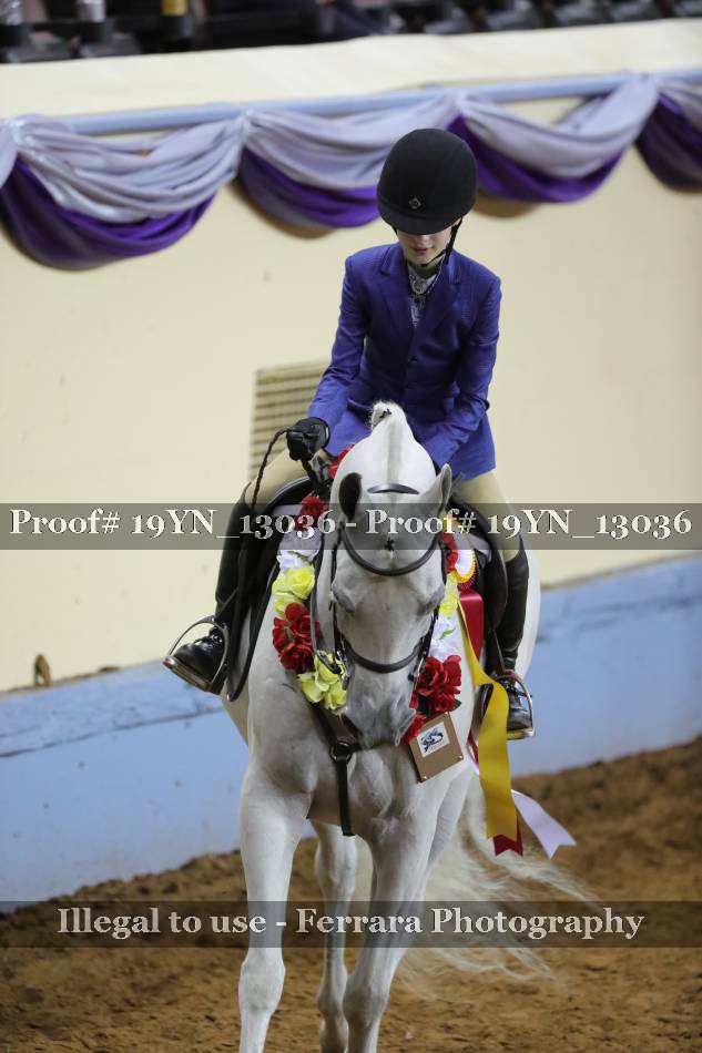 Proof 19YN_13036