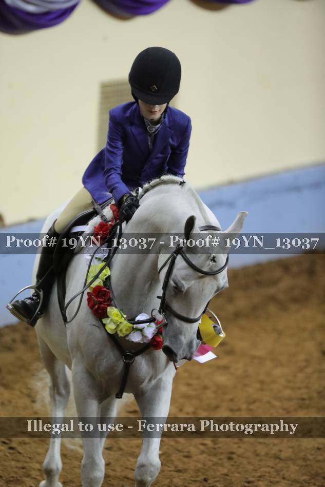 Proof 19YN_13037