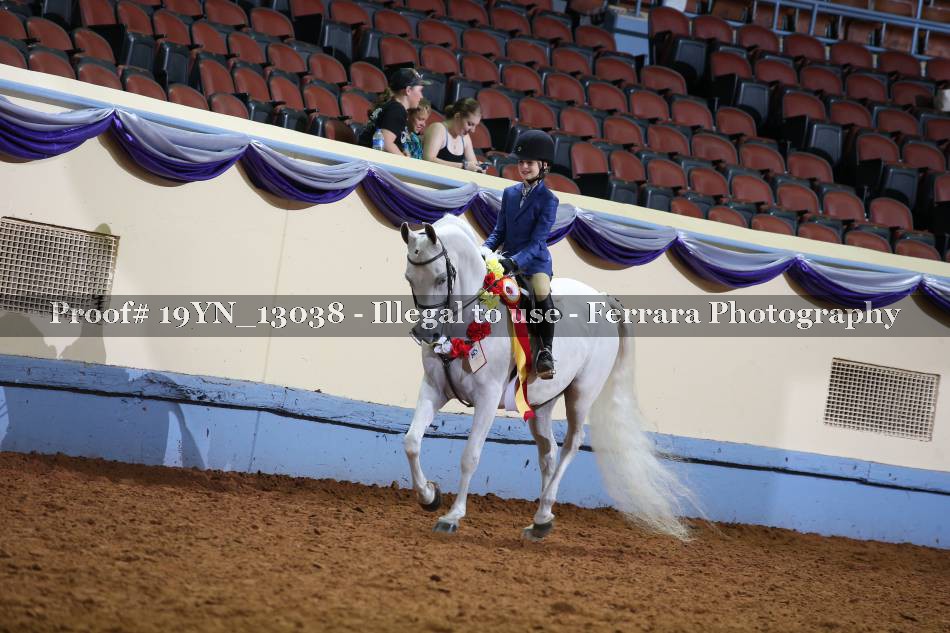 Proof 19YN_13038