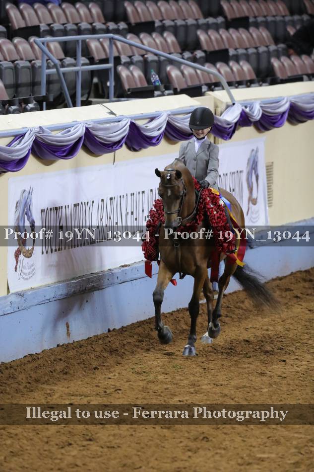Proof 19YN_13044