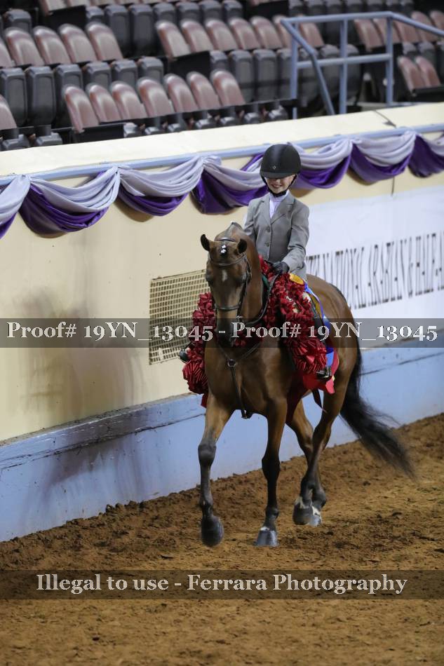 Proof 19YN_13045