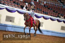 19YN_13051 proof