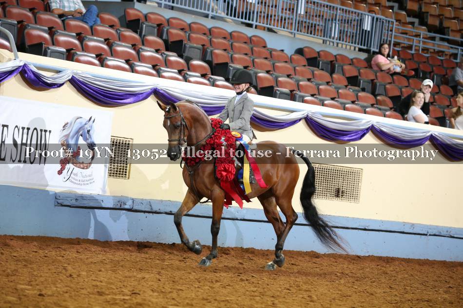 Proof 19YN_13052