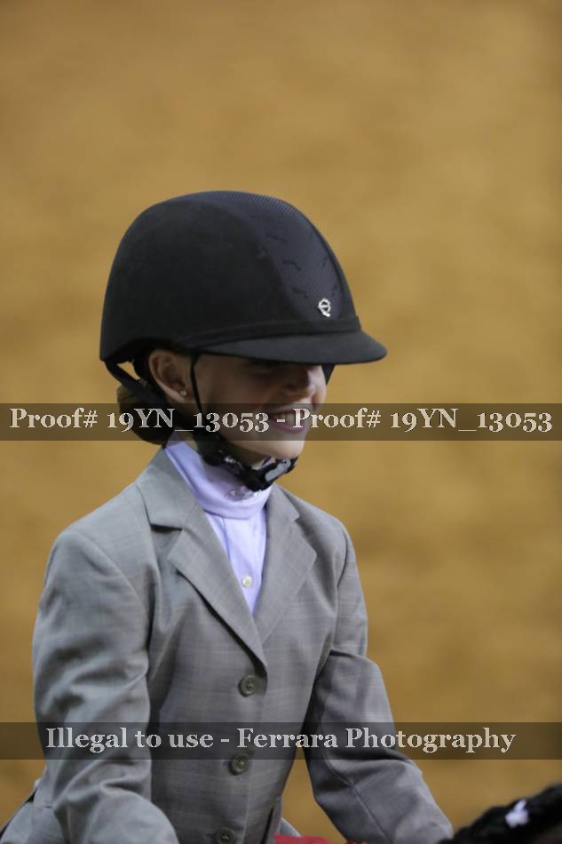 Proof 19YN_13053