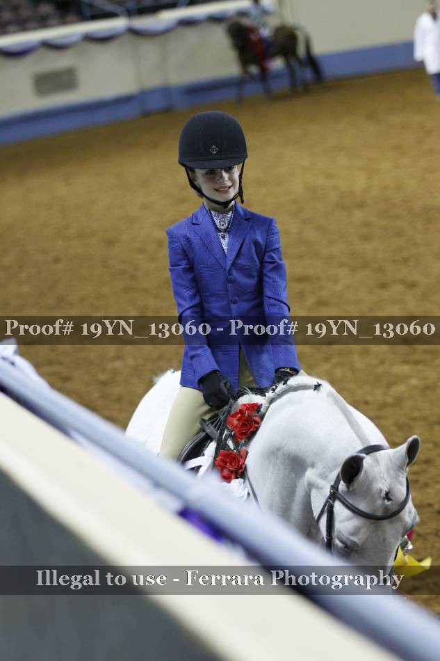 Proof 19YN_13060