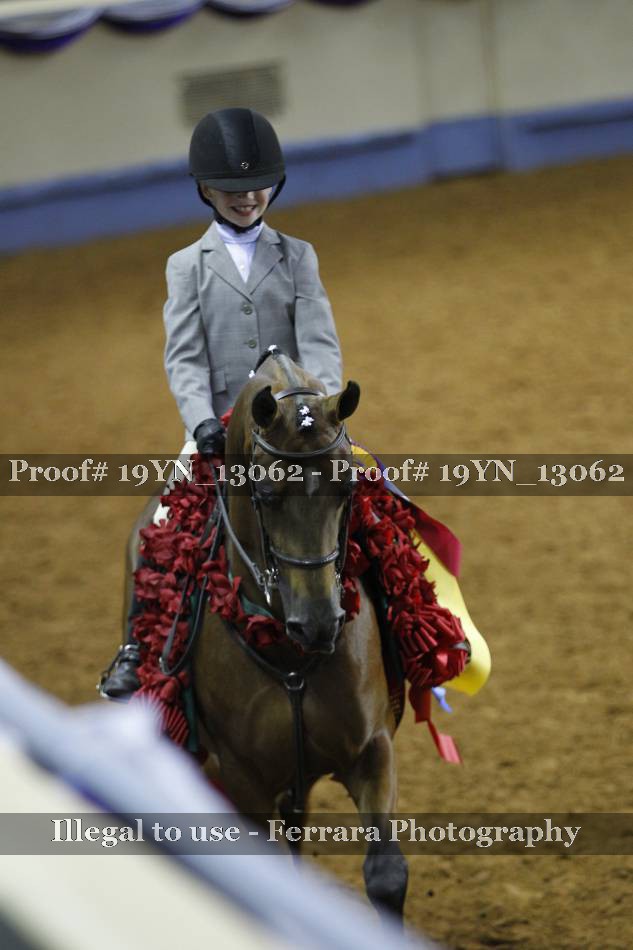 Proof 19YN_13062