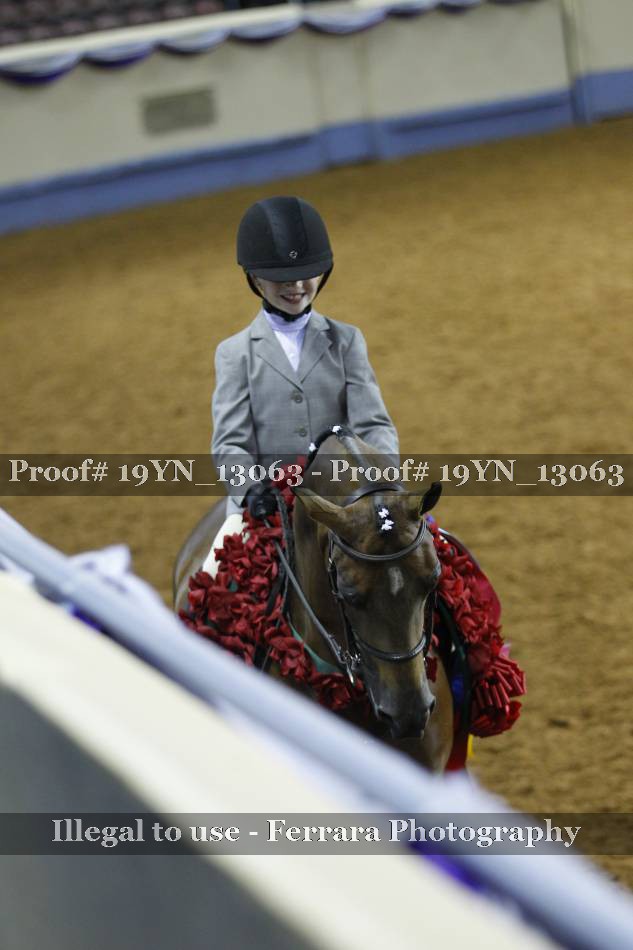 Proof 19YN_13063