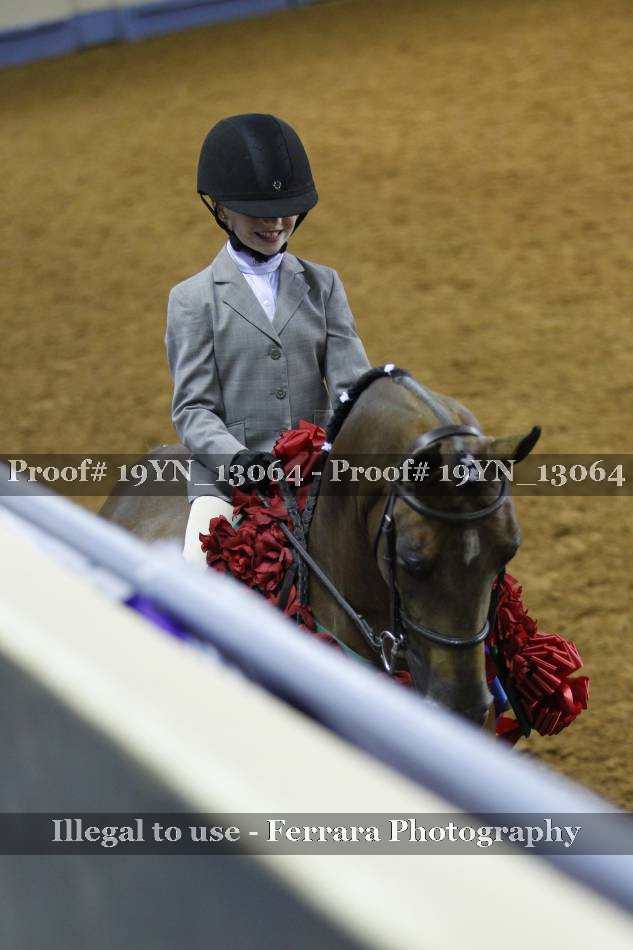 Proof 19YN_13064