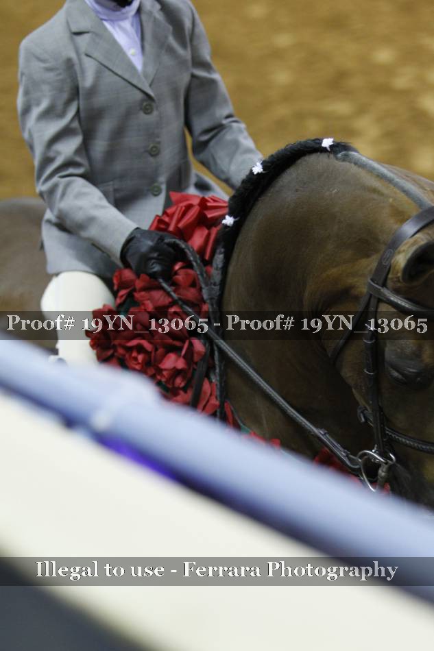Proof 19YN_13065