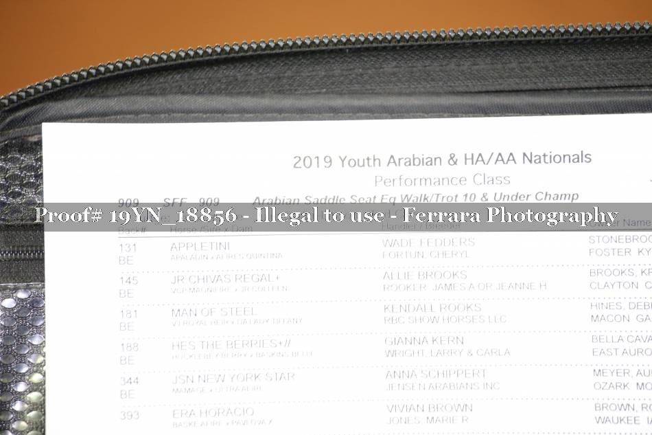 Proof 19YN_18856