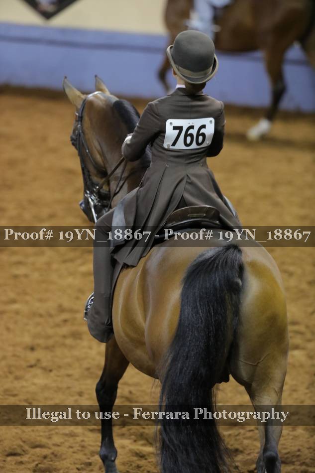 Proof 19YN_18867
