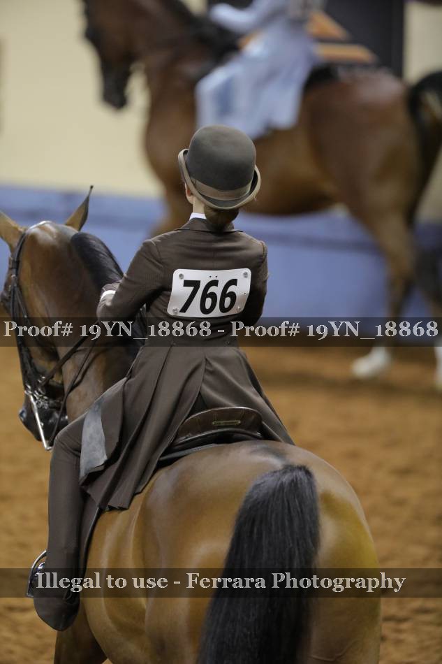 Proof 19YN_18868