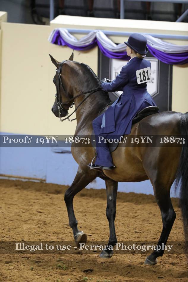 Proof 19YN_18873