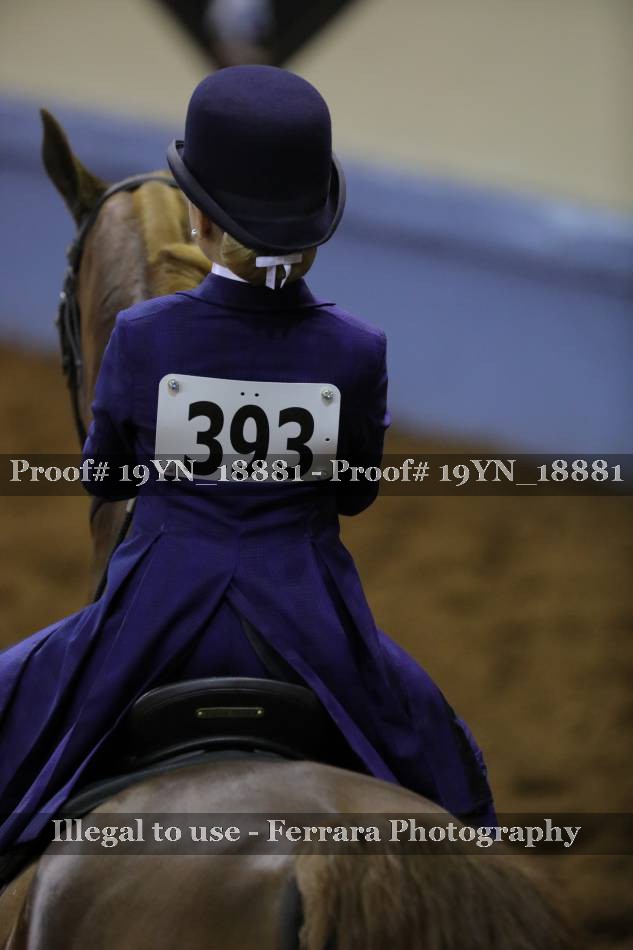 Proof 19YN_18881