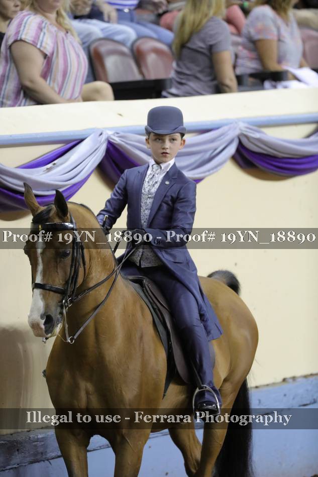 Proof 19YN_18890