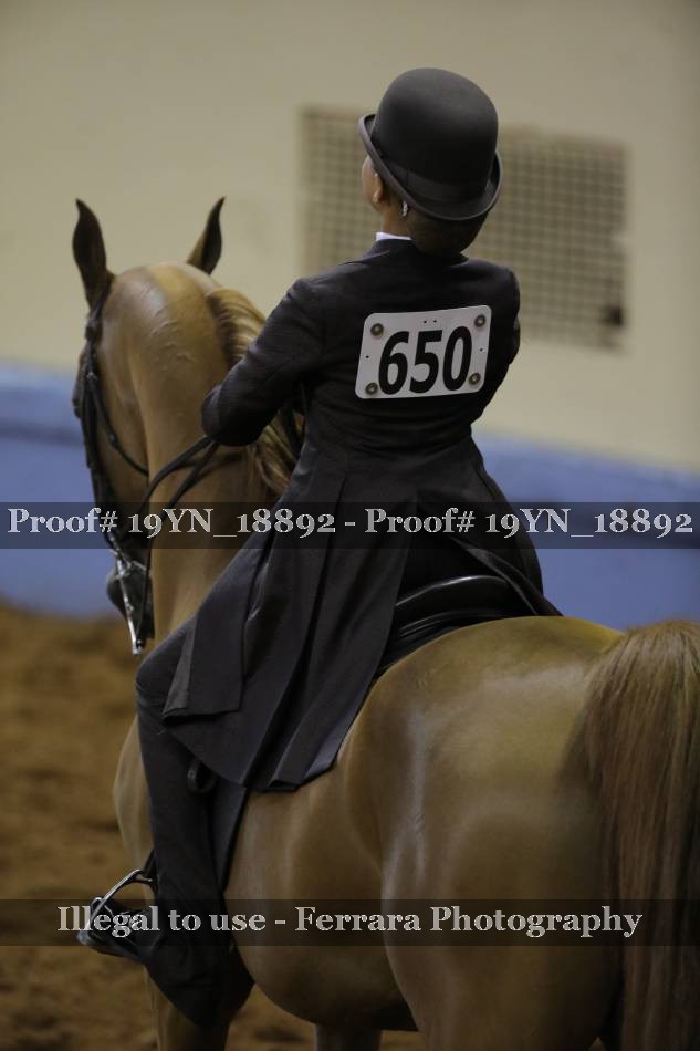 Proof 19YN_18892