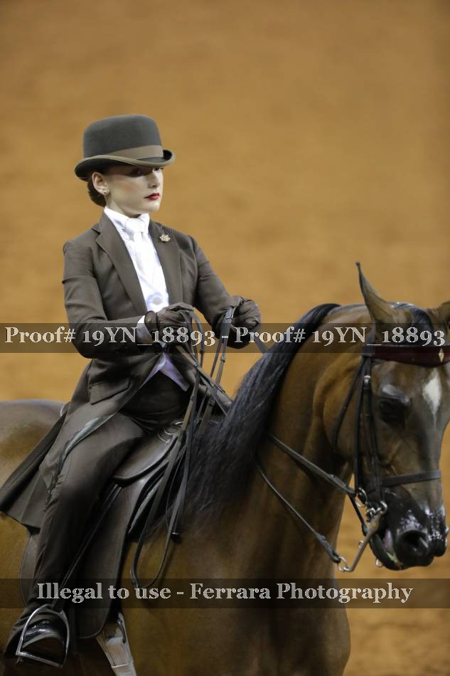 Proof 19YN_18893