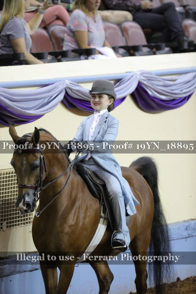 Proof 19YN_18895