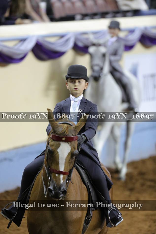 Proof 19YN_18897