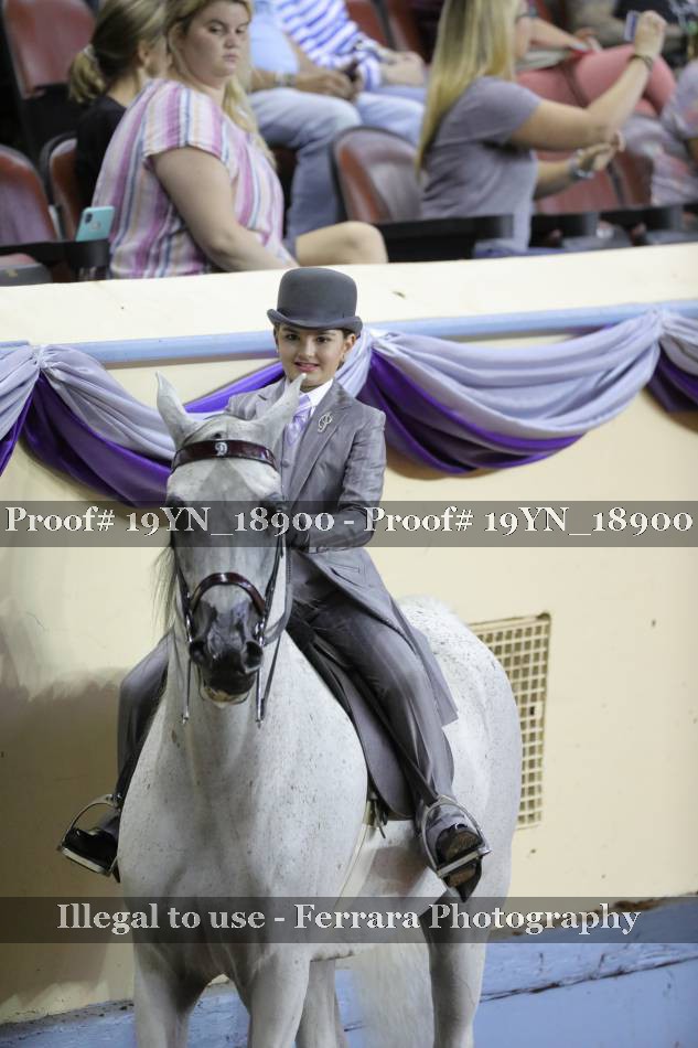 Proof 19YN_18900