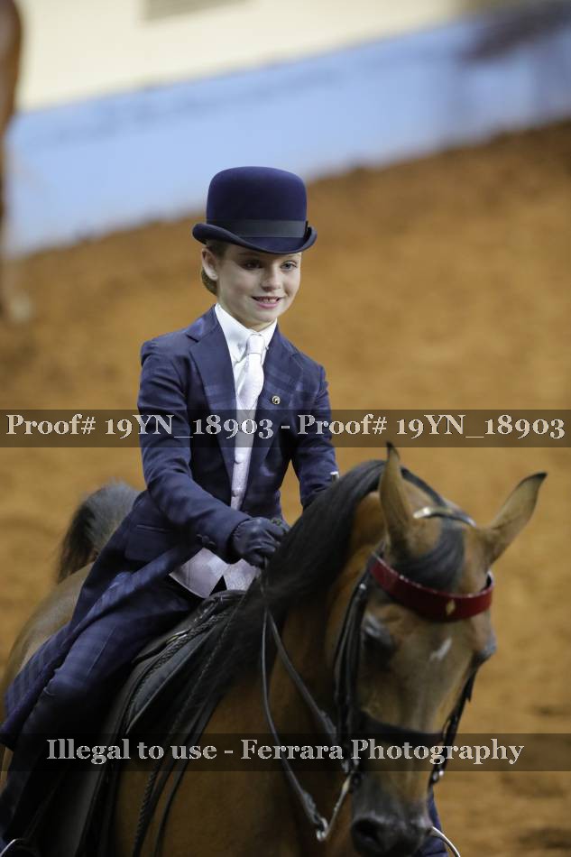 Proof 19YN_18903
