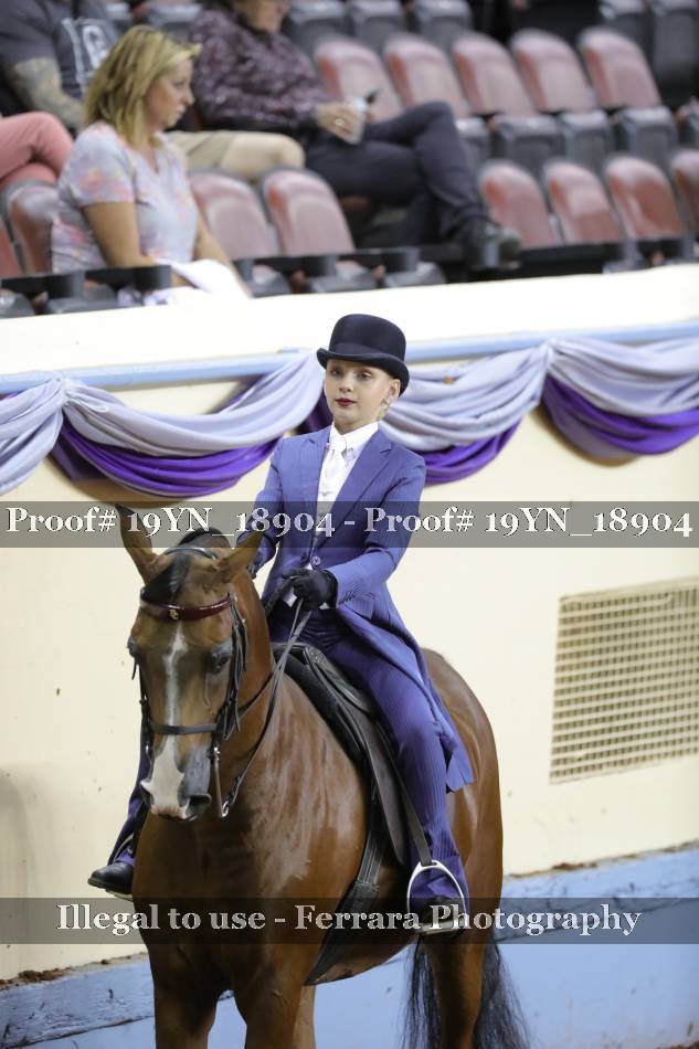 Proof 19YN_18904