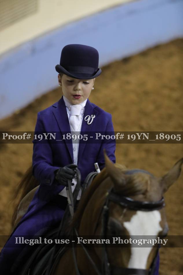 Proof 19YN_18905