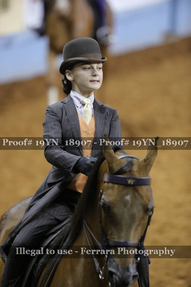 Proof 19YN_18907