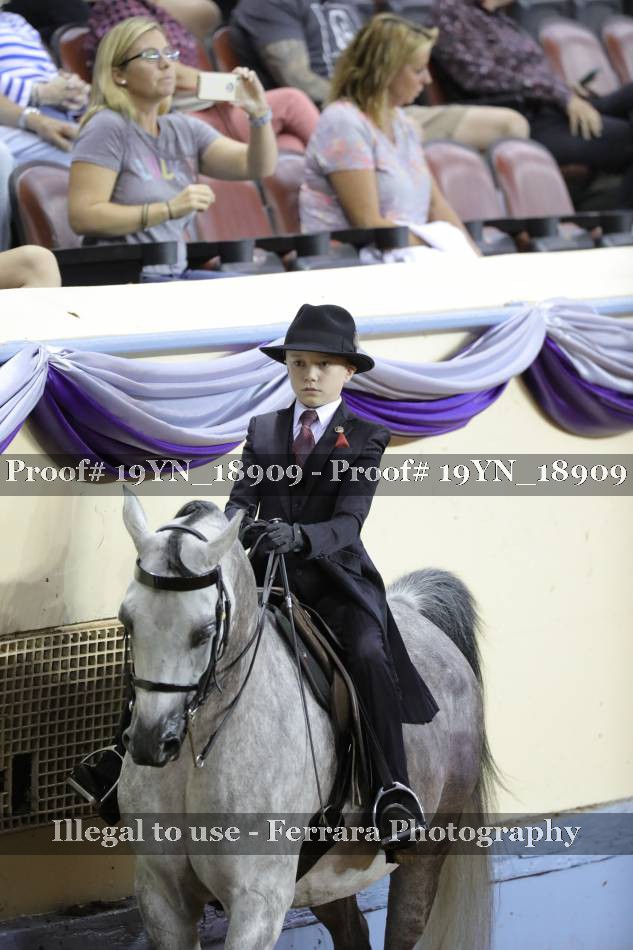 Proof 19YN_18909