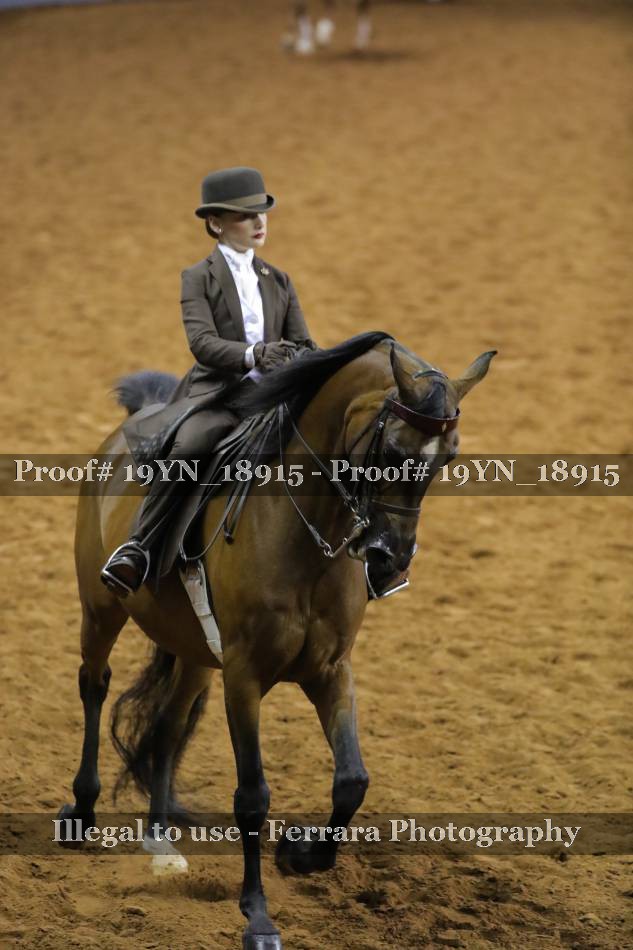 Proof 19YN_18915