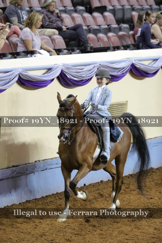 Proof 19YN_18921