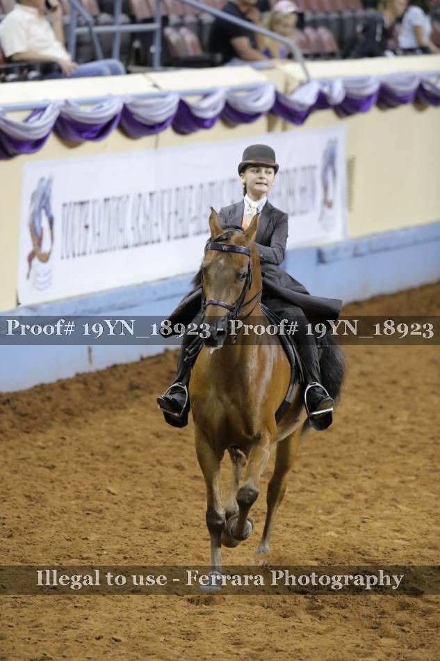 Proof 19YN_18923