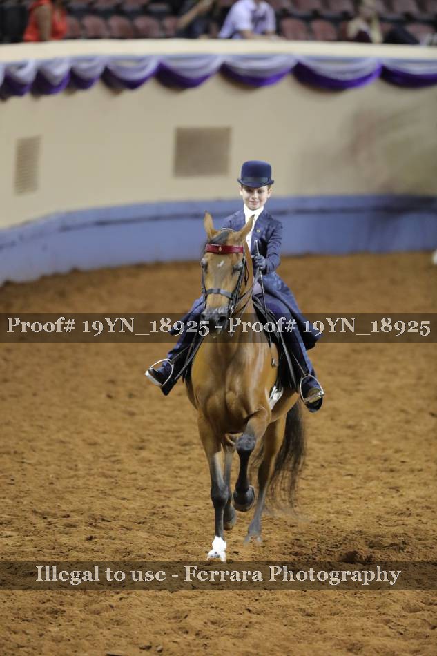Proof 19YN_18925