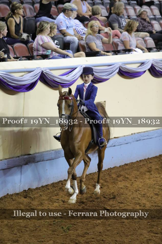 Proof 19YN_18932