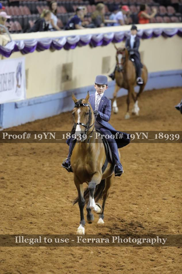 Proof 19YN_18939