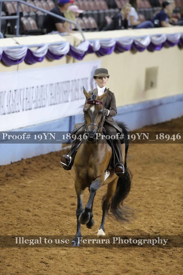 Proof 19YN_18946