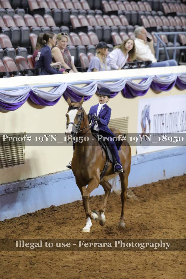 Proof 19YN_18950