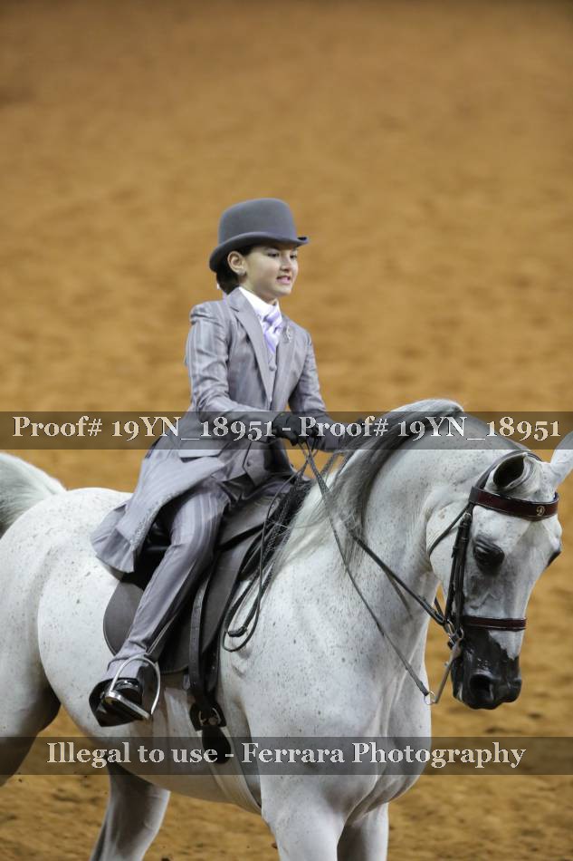 Proof 19YN_18951