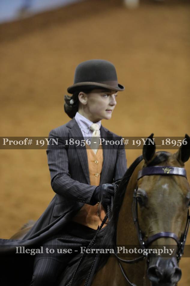Proof 19YN_18956