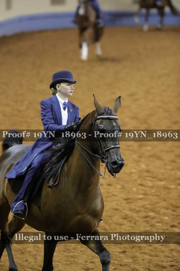 Proof 19YN_18963
