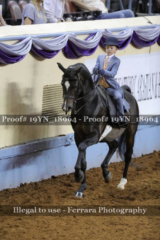 Proof 19YN_18964