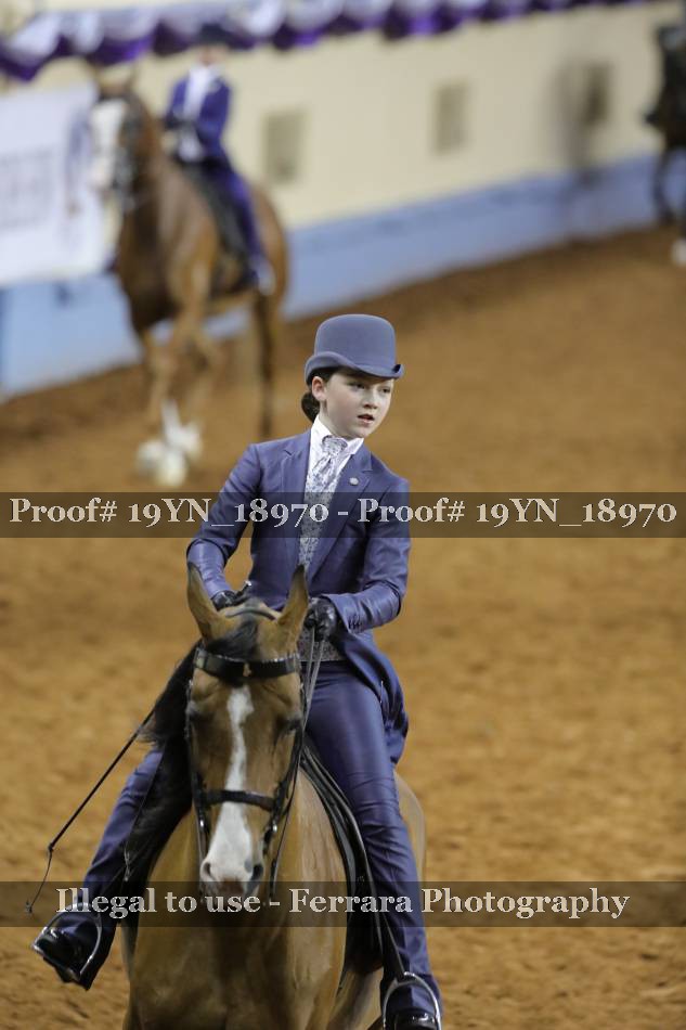 Proof 19YN_18970