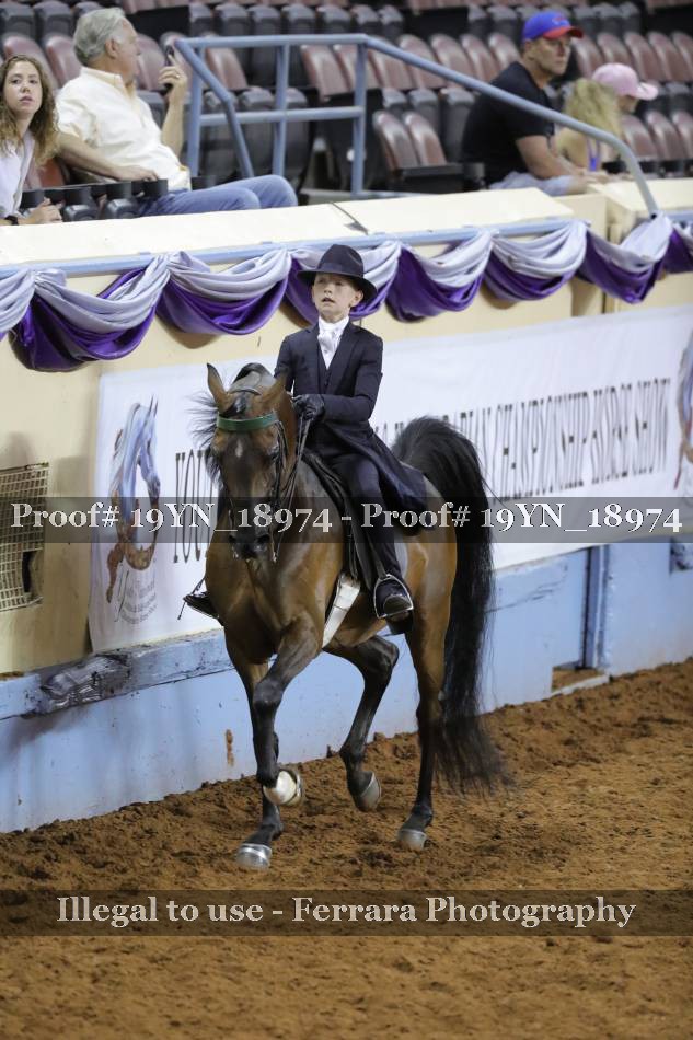Proof 19YN_18974